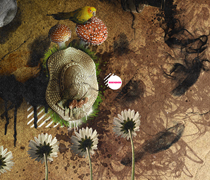 可以留电话的骚扰网站